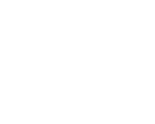 Ultra Music Festival
