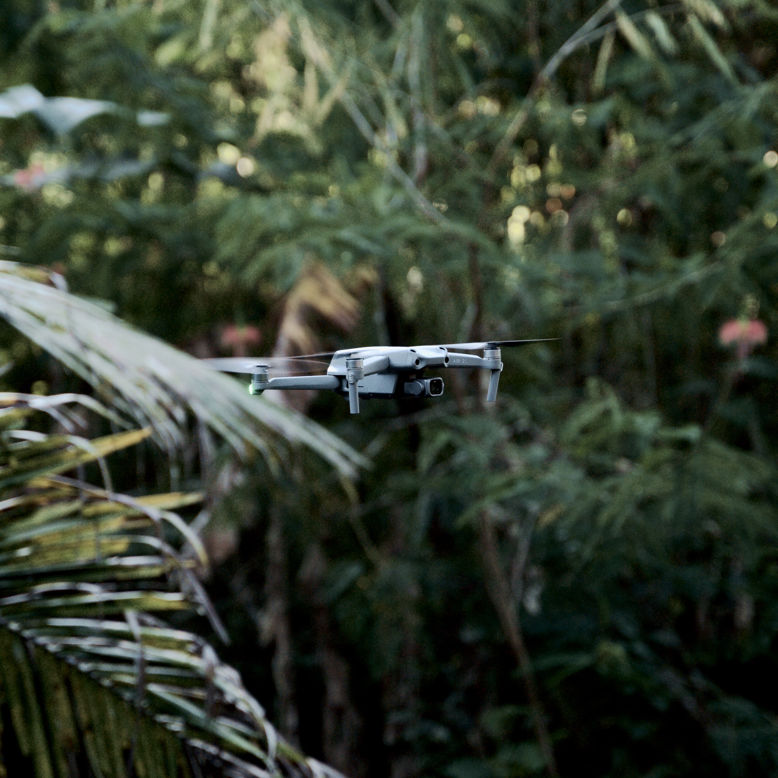 FILM & VIDEO example 2