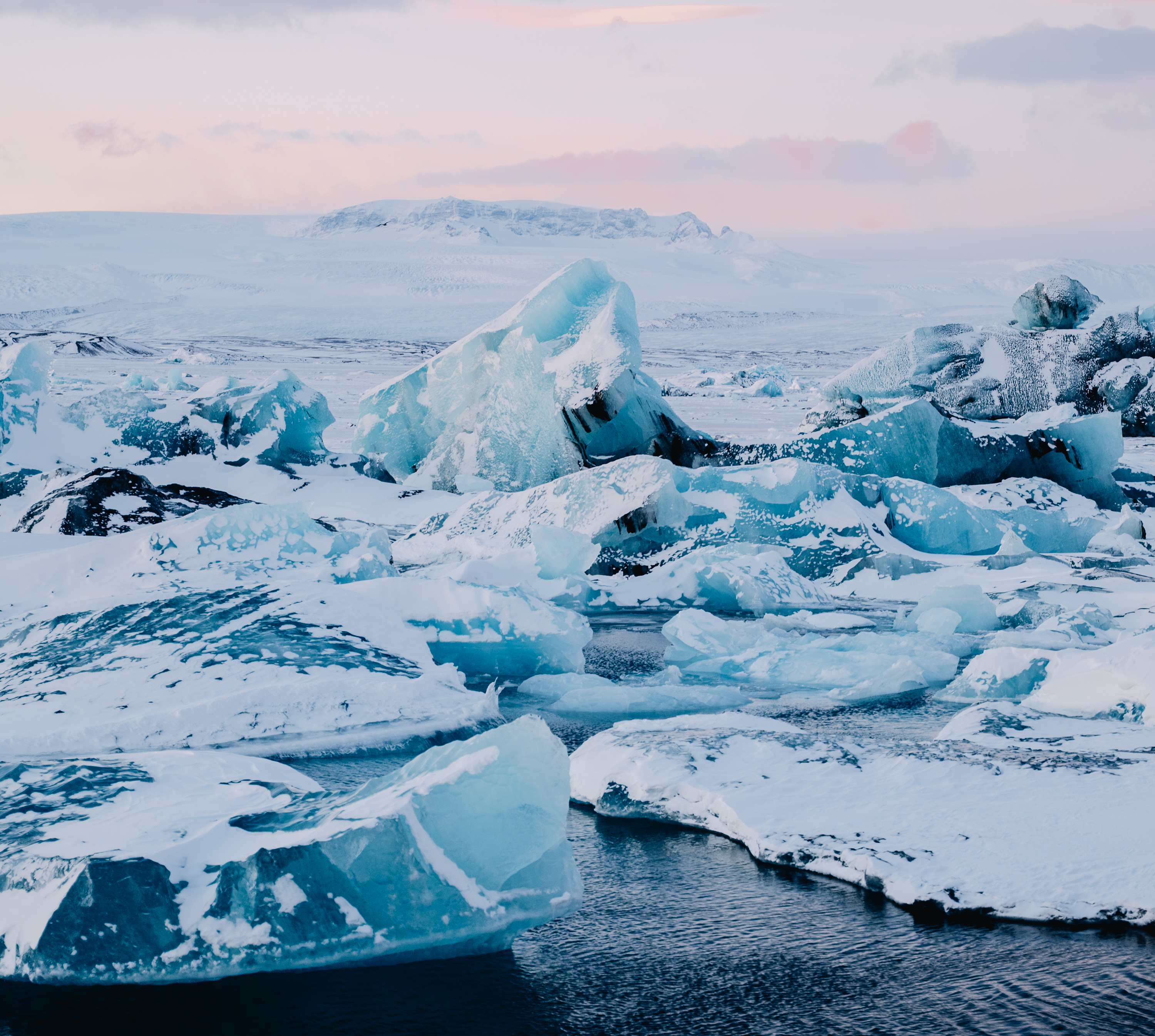Arctic Adventures